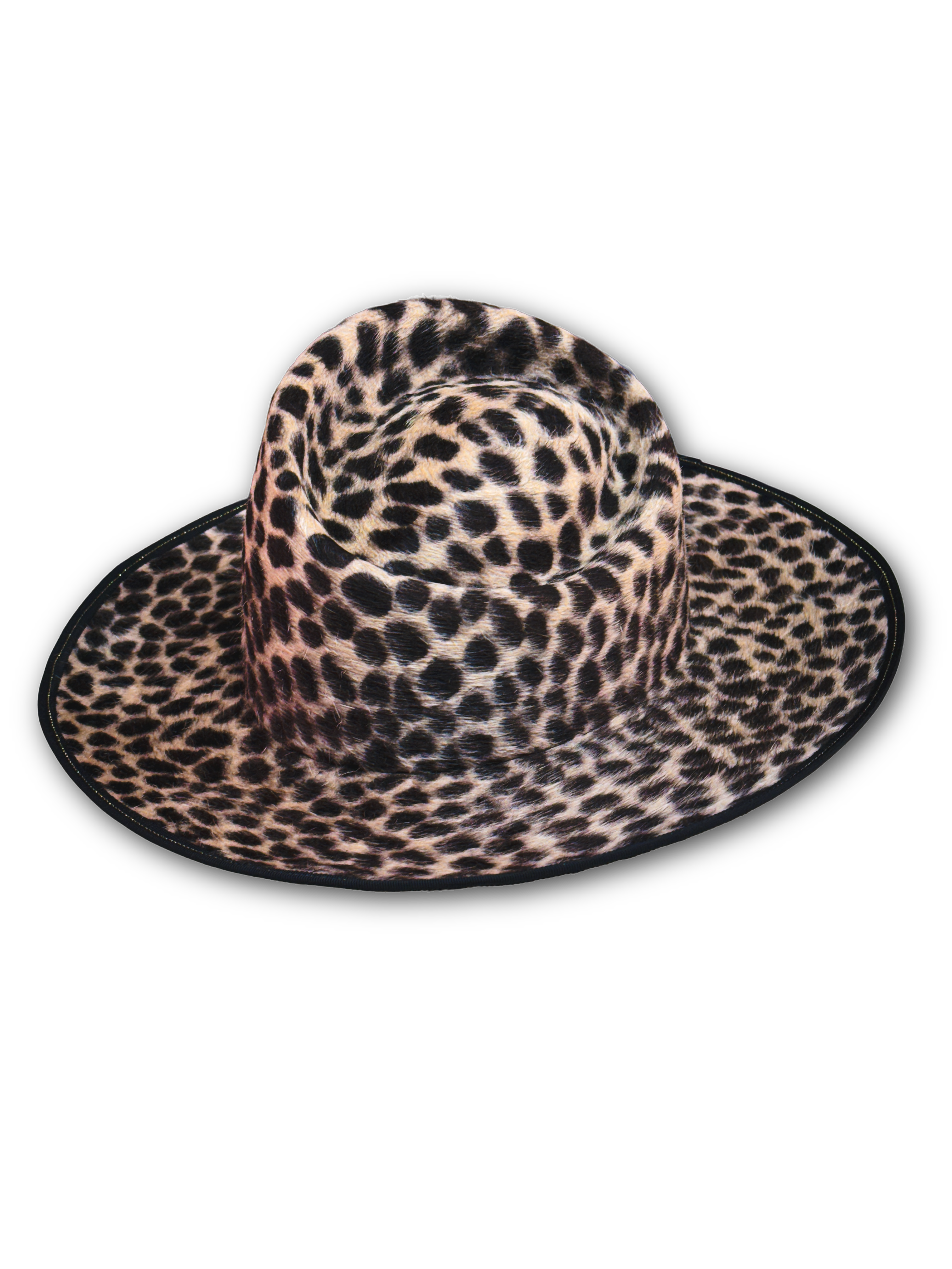 "Endangered" Felt Hat