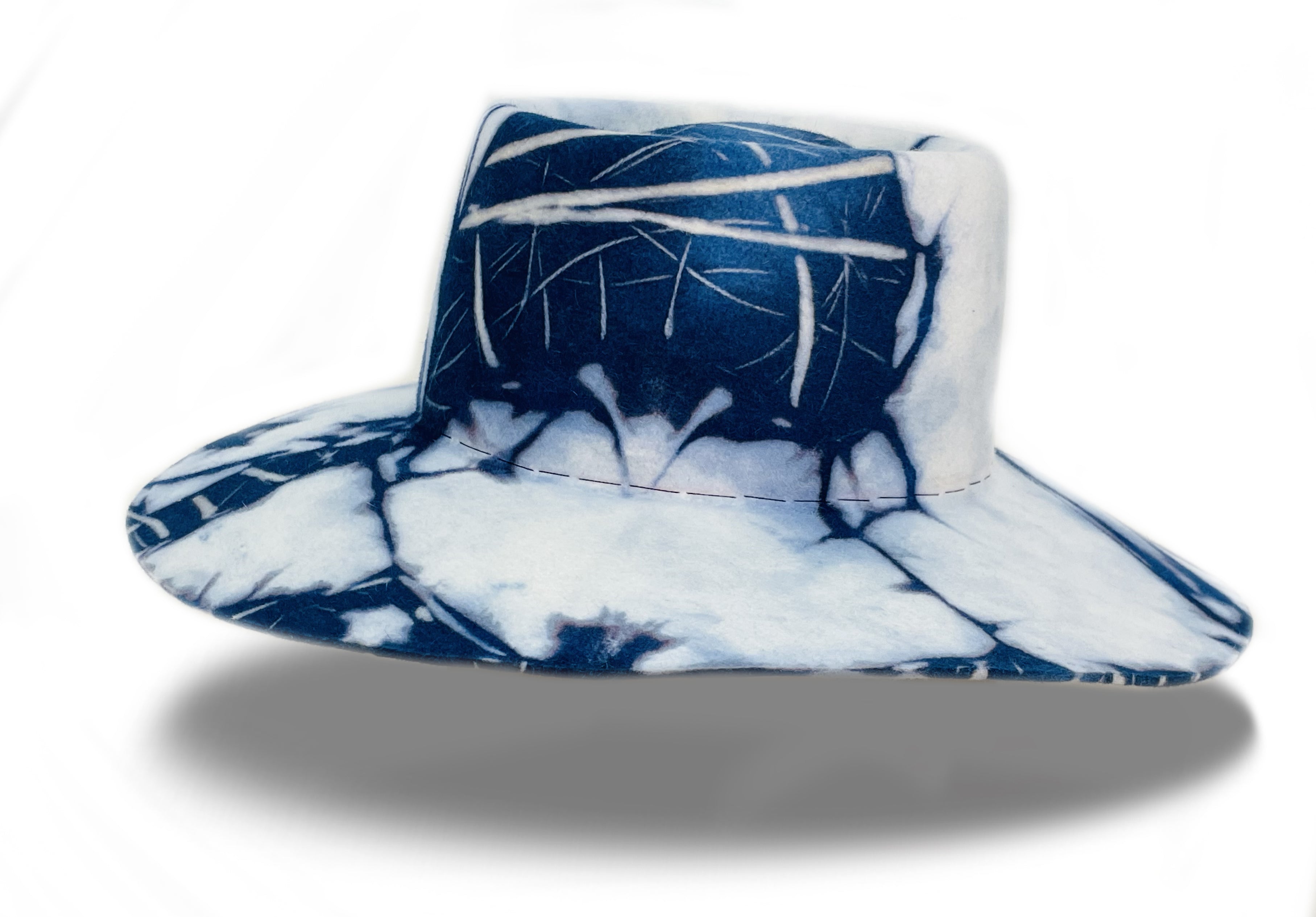 Arctic